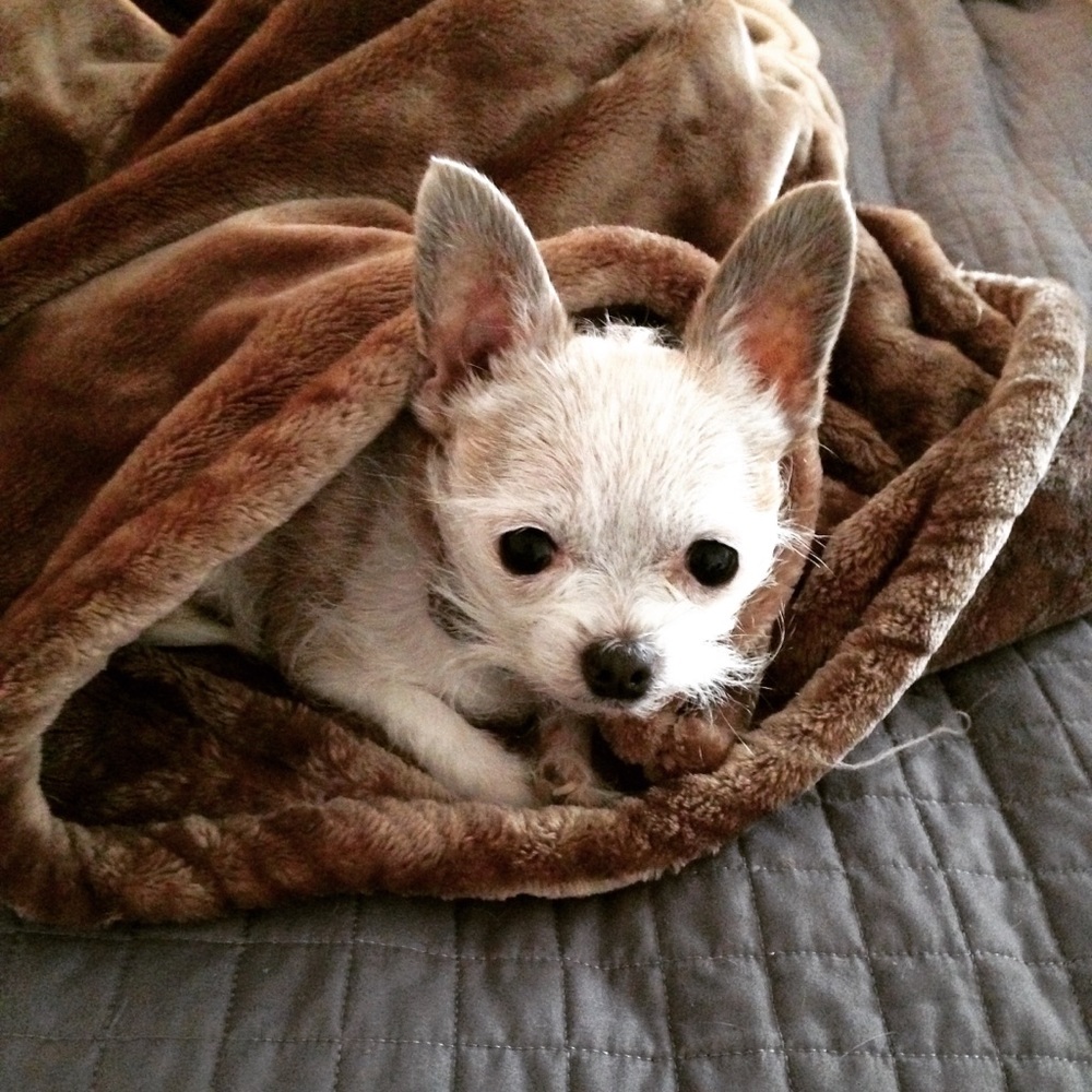 Meet your Posher, Kaelyn